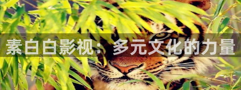 樱桃萝卜做法视频：素白白影视：多元文化的力量