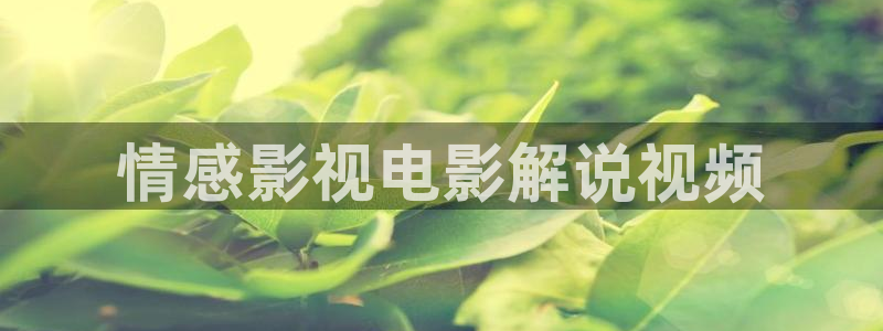 樱桃影院电视剧免费播放：情感影视电影解说视频