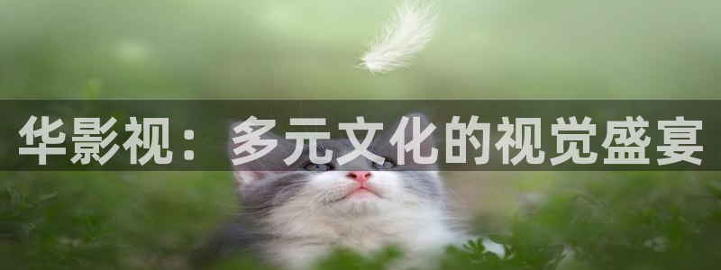 樱桃小视频视频直播：华影视：多元文化的视觉盛宴