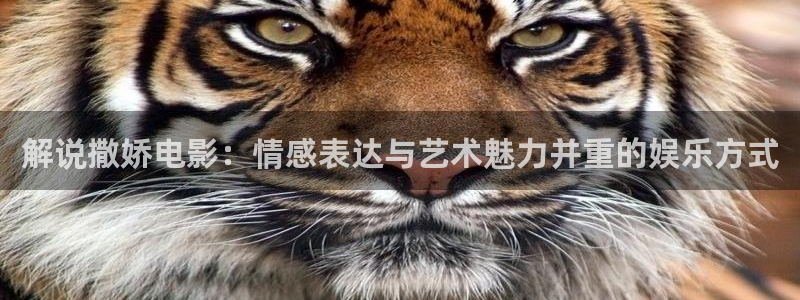 樱桃视频日本：解说撒娇电影：情感表达与艺术魅力并重的娱乐方式