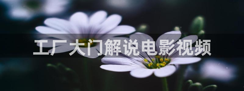 樱桃一个：工厂大门解说电影视频