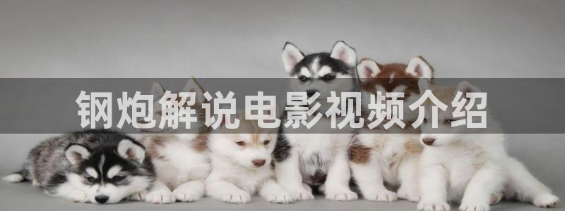 樱桃直播视频免费观看：钢炮解说电影视频介绍