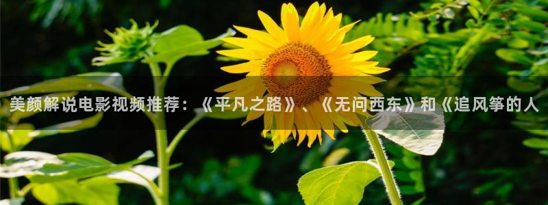 樱桃在线观看免费,电视剧(38集全)：美颜解说电影视频推荐：《平凡之路》、《无问西东》和《追风筝的人