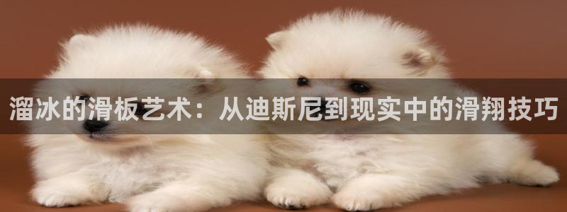 樱桃视频在线观看网站：溜冰的滑板艺术：从迪斯尼到现实中的滑翔技巧